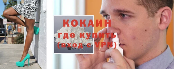 крисы Лагань