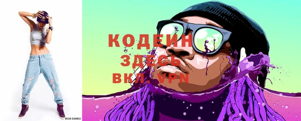 крисы Лагань