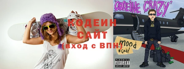 крисы Лагань
