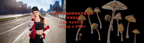 крисы Лагань