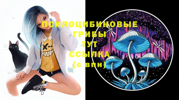 кокаин Ладушкин