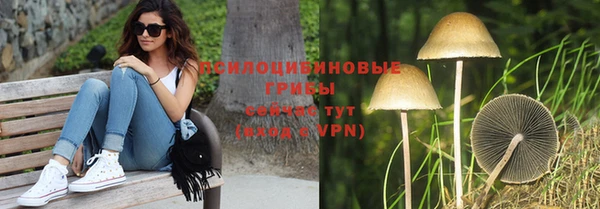 крисы Лагань